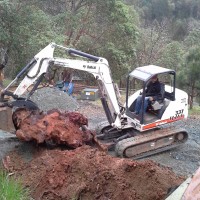 Grants Pass – Stump Removal From Yard